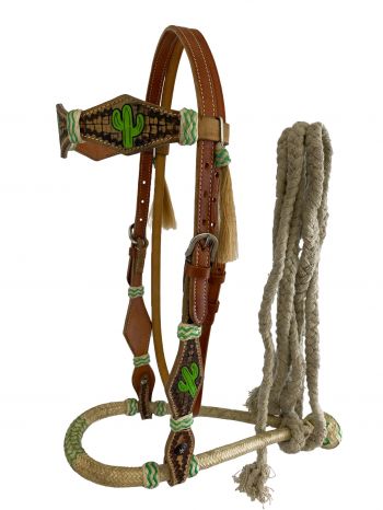 Showman Hand Painted Cactus Bosal with Cotton Mecate reins